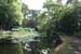 19_Und_ein_schoener_Garten