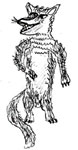 Fuchs
