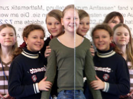 Faxenspiegel_260