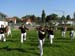 39_Capoeira_3